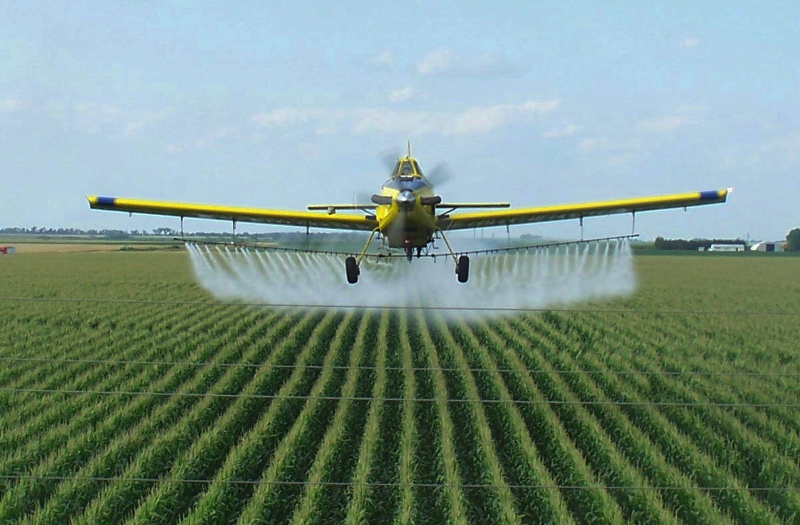 Пестициды — победа над голодом или тупик цивилизации?
